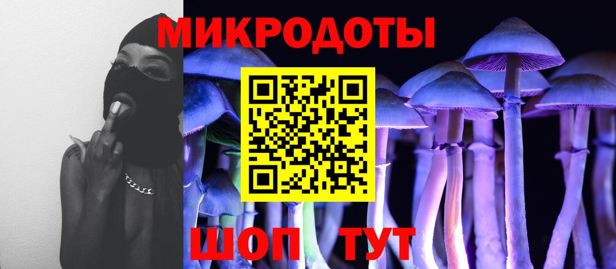 Псилоцибиновые грибы Psilocybe Чусовой